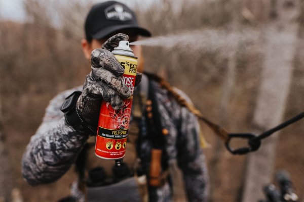 3 Expert Tips For Hunting Mature Bucks