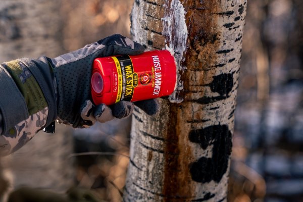 A Hunter&rsquo;s Guide to a Whitetail&rsquo;s Nose: Why Scent Control Fails&mdash;And How Nose Jammer Changes the Game