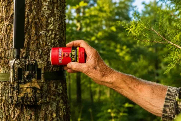 Summer Scouting & Trail Camera Strategies