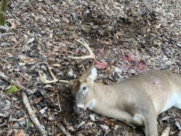 69532104586__AF4975C4-14E6-44E1-ABF1-231EB058B952